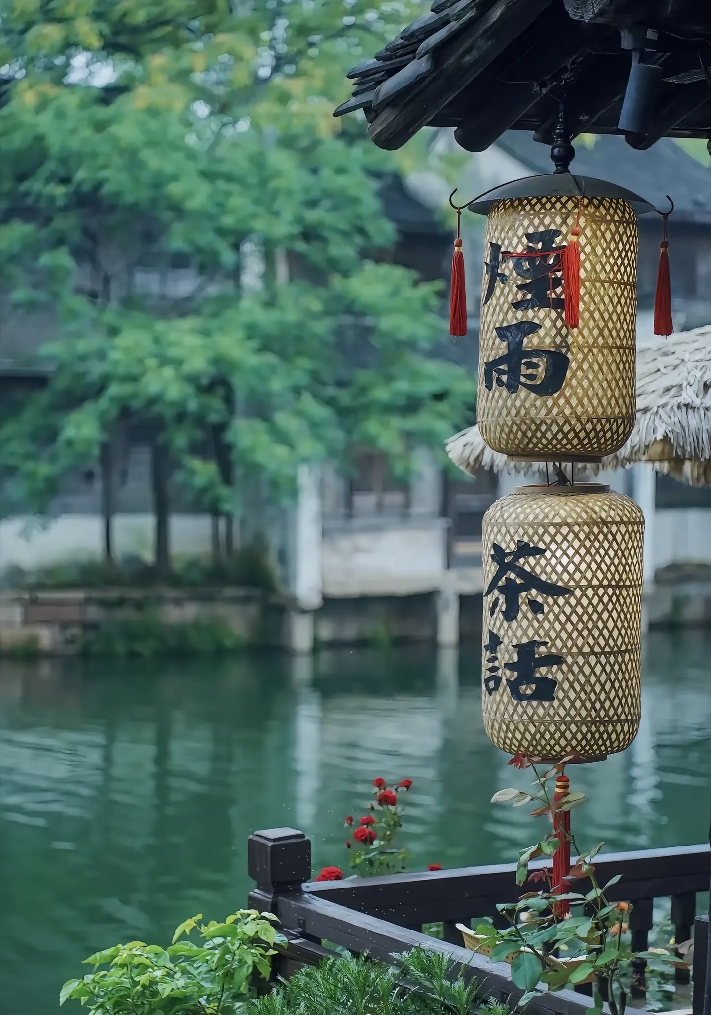 Shanghai to Wuzhen