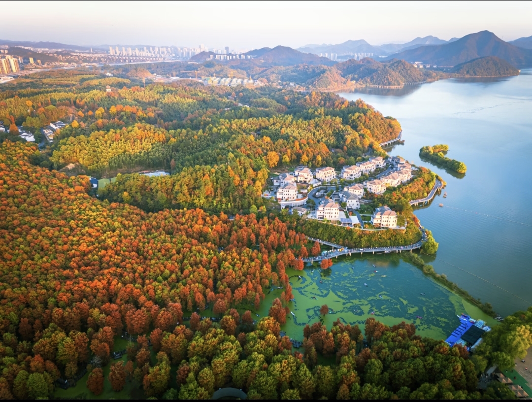 Qingshan Lake and Shanghai