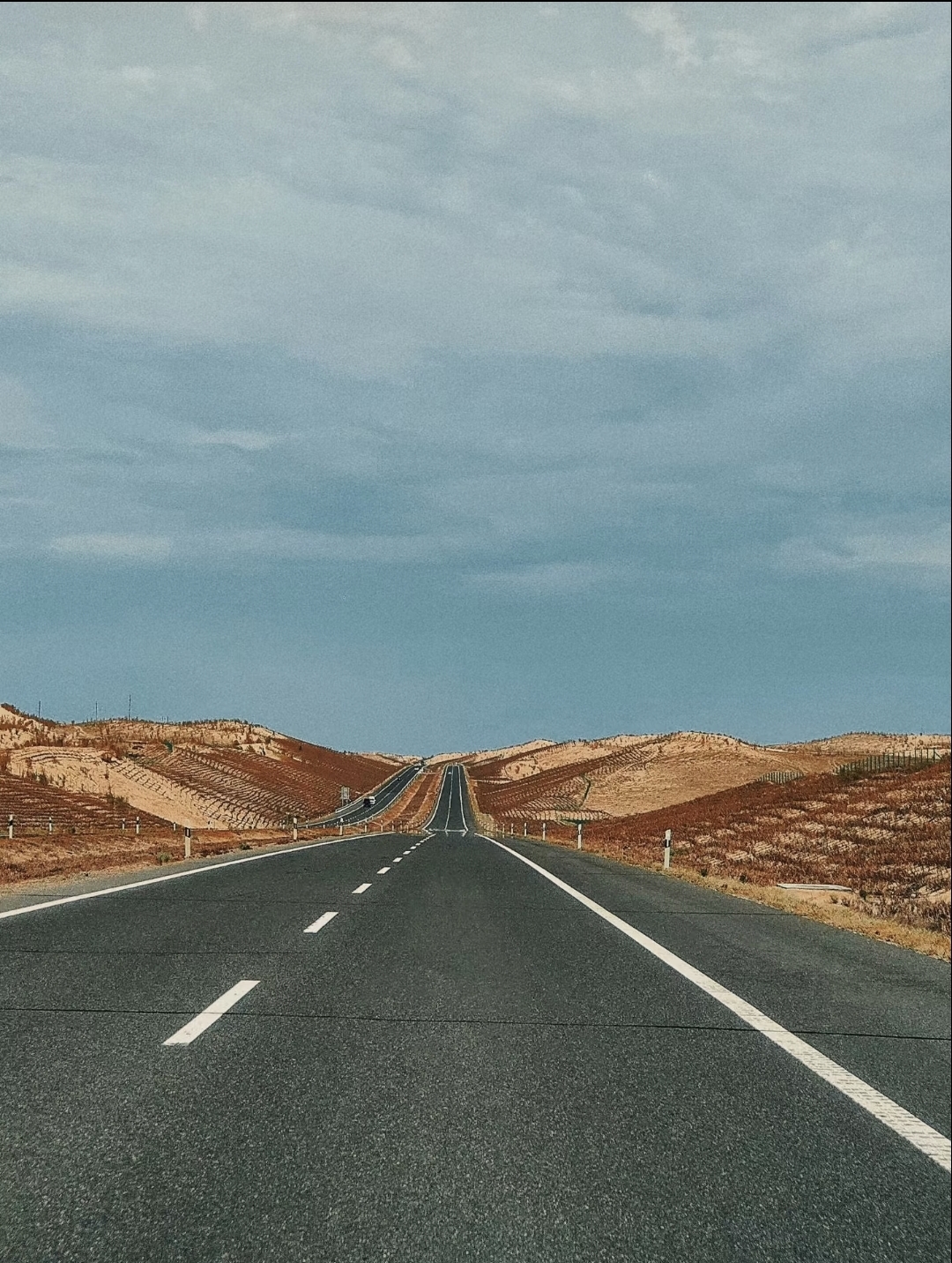 Desert highway to Altay